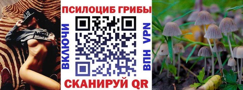 купить  сайты  Геленджик  Галлюциногенные грибы Cubensis 