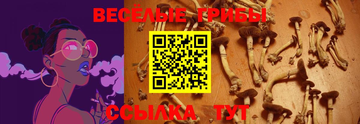 Галлюциногенные грибы Magic Shrooms Геленджик